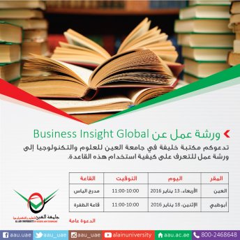  Workshop about “Business Insight Global”