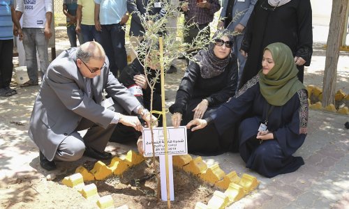AAU plants a Ghaf tree, in collaboration with Takatof
