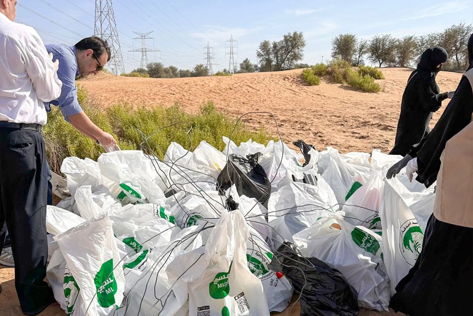 The Environment Cleaning campaign 